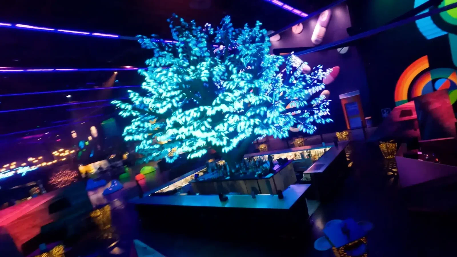 Area 15
