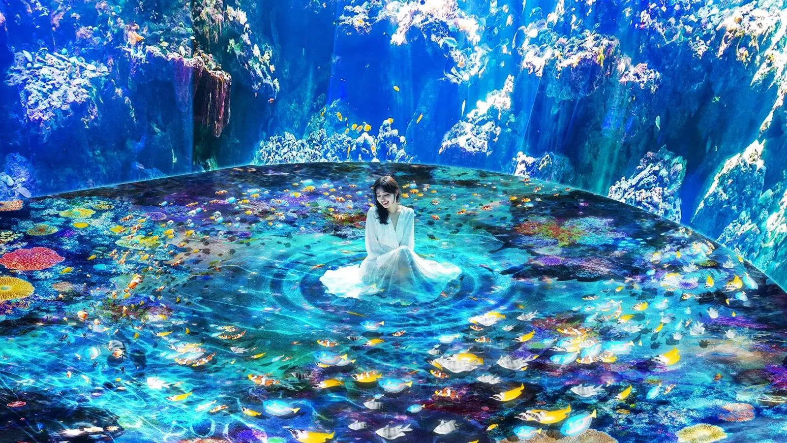 Xpark Digital Ocean