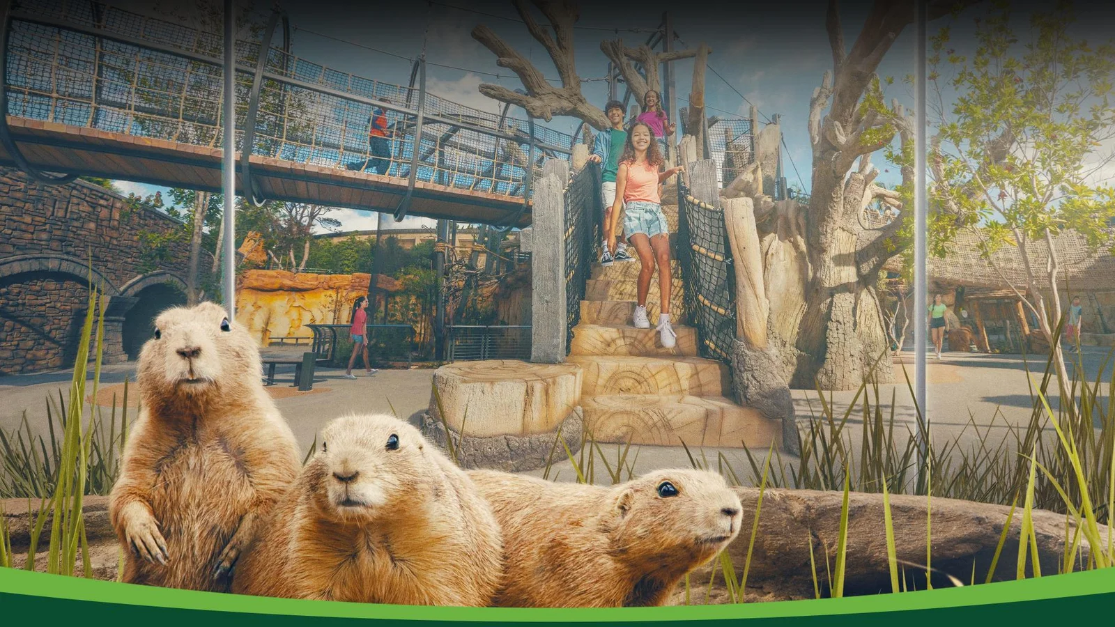 サンディエゴ動物園 Wildlife Explorers Basecamp インタラクティブ展示ゾーン
